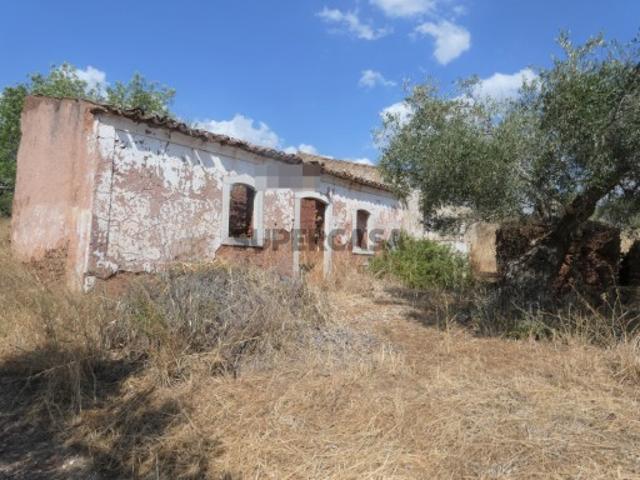 Terreno venda em São Bartolomeu De Messines, Faro
