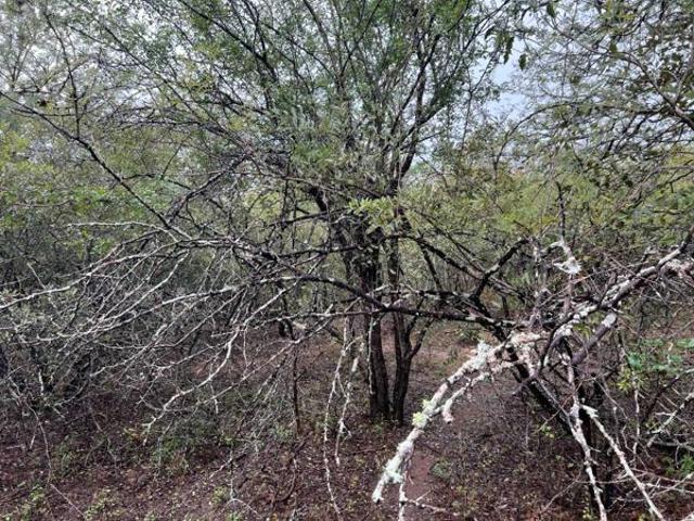 Property for sale in Ehlanzeni, Mpumalanga