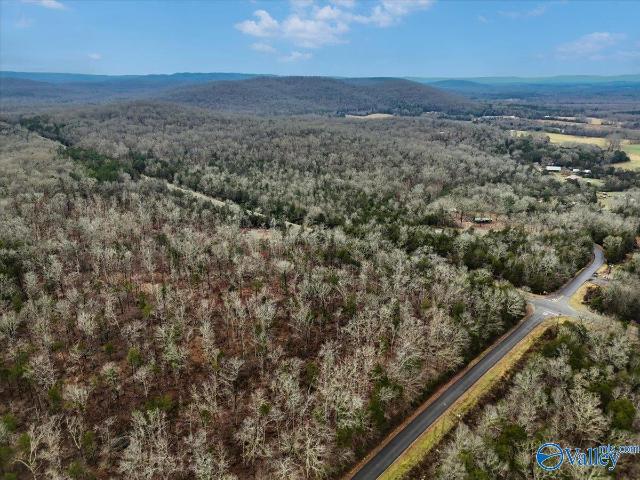 Land for sale in Alabama