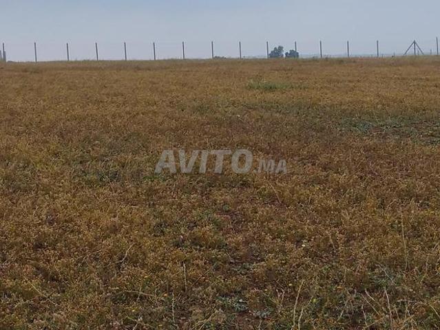 Propriété vente à Al Haouz, L'Oriental