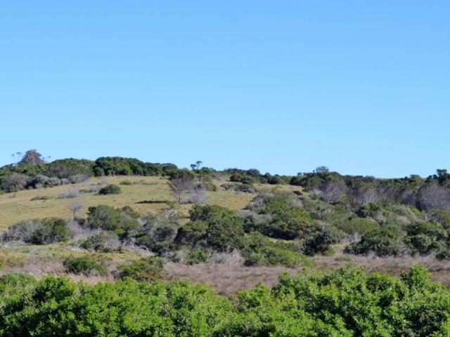 Property for sale in Bushmans River Mouth, Eastern Cape