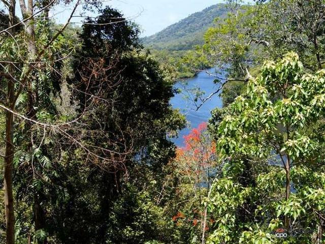 Land for sale in Ayton, Queensland