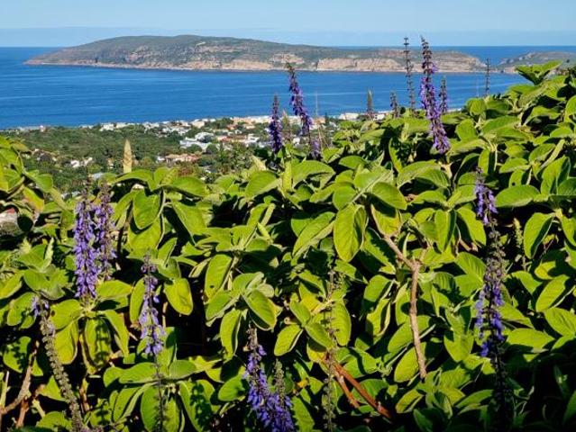 Property for sale in Groot Brak Rivier, Western Cape
