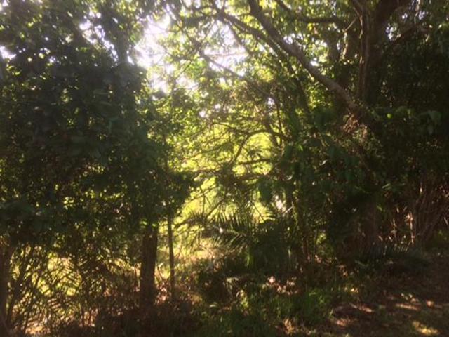 Property for sale in Ugu District Municipality, Kwazulu-natal