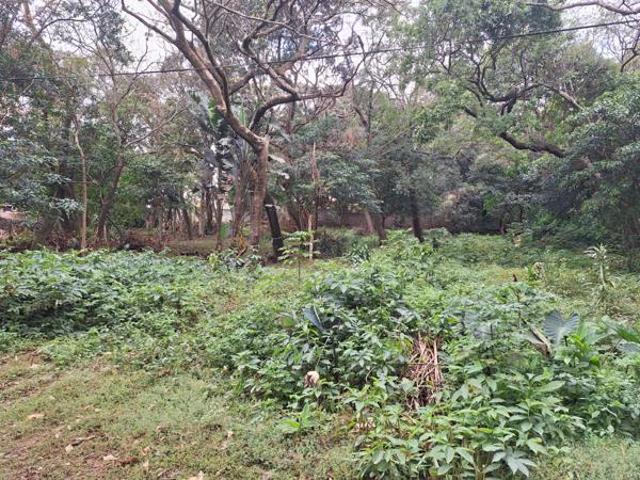 Property for sale in Ugu District Municipality, Kwazulu-natal