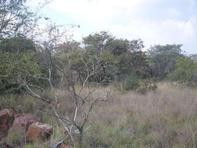 Property for sale in Limpopo