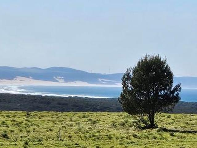 Property for sale in Cape St Francis, Eastern Cape