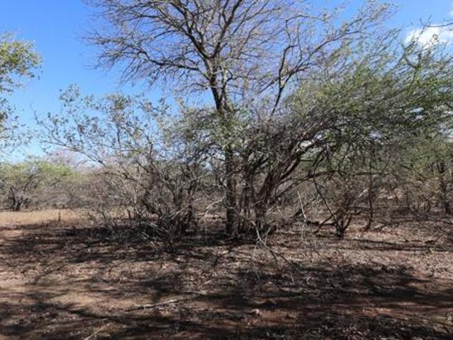 Property for sale in Ehlanzeni, Mpumalanga