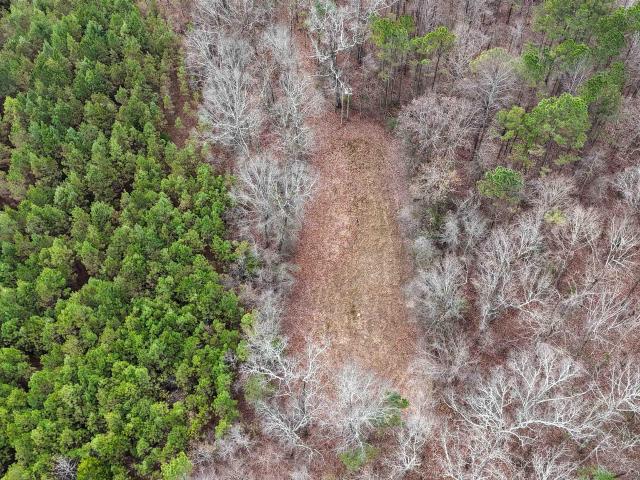 Land for sale in Hamilton, Alabama