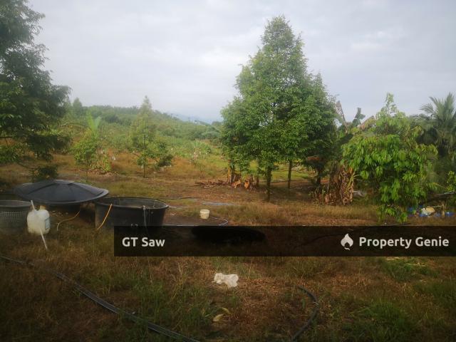Property for sale in Karak, Pahang