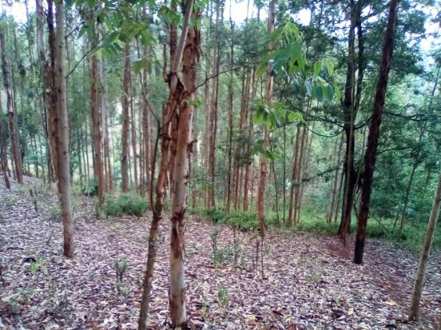 Land for sale in Bahati, Nakuru