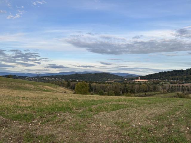 Landwirtschaft kaufen in Kärnten