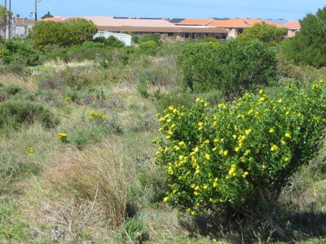 Land for sale in Cape St Francis, Eastern Cape