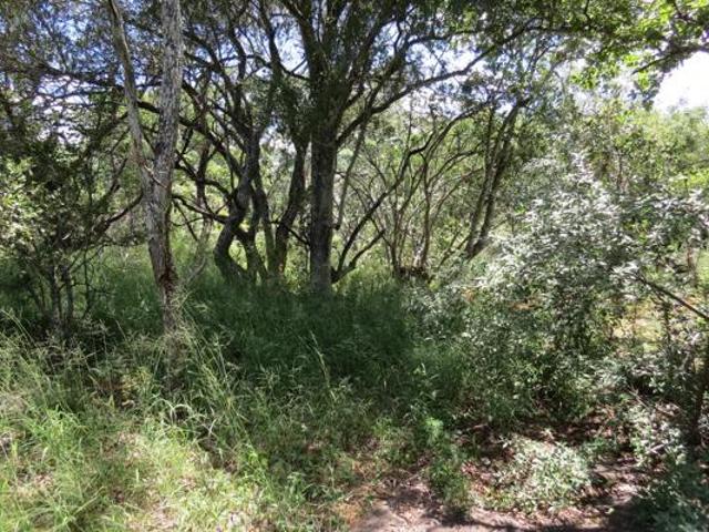 Land for sale in Limpopo