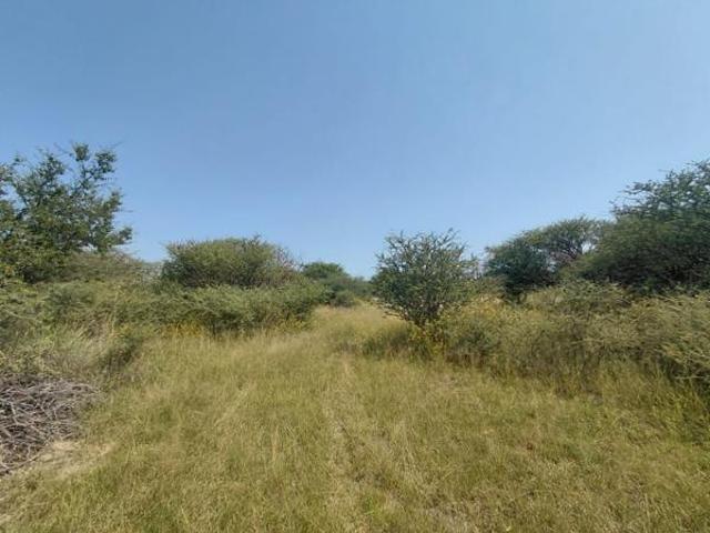 Land for sale in Limpopo