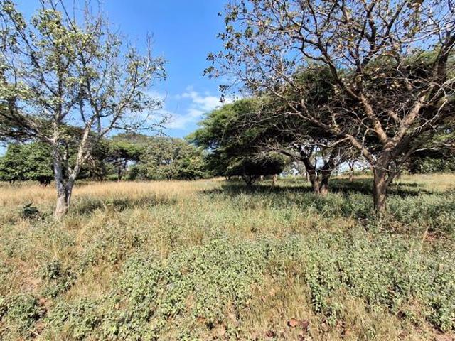Land for sale in Mopani, Limpopo