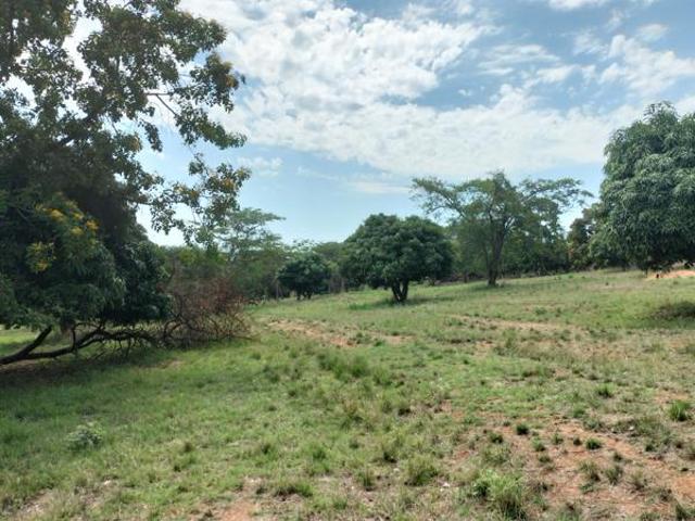 Land for sale in Mopani, Limpopo