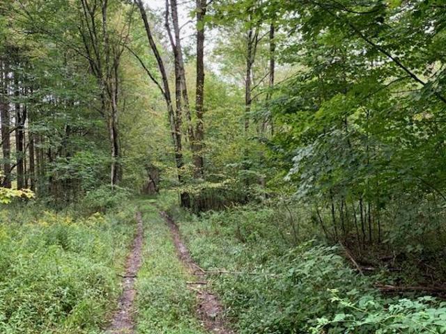 Land for sale in Herrick Center, Pennsylvania