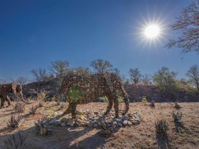 Property for sale in Mopani, Limpopo