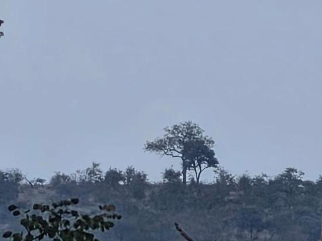 Property for sale in Mopani, Limpopo
