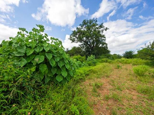 Property for sale in Mopani, Limpopo