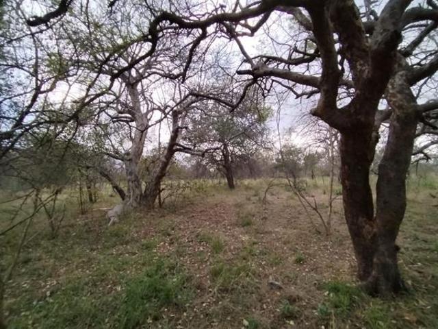 Property for sale in Mopani, Limpopo