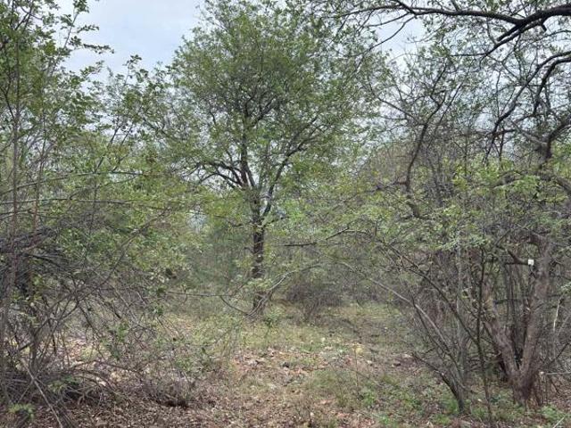 Property for sale in Hoedspruit, Maruleng Local Municipality