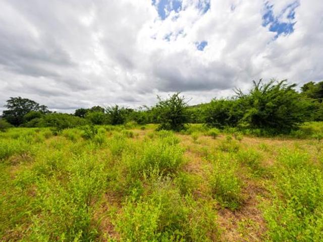Property for sale in Mopani, Limpopo