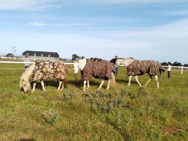 Property for sale in Cape St Francis, Eastern Cape