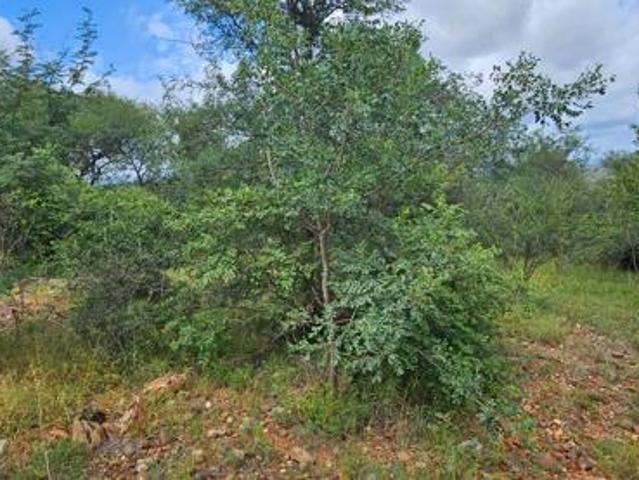 Property for sale in Mopani, Limpopo