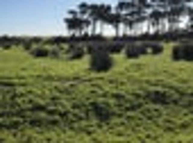 Land for sale in Hokitika, West Coast