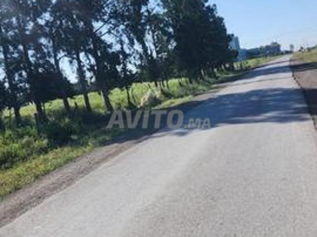 Propriété vente à Slimane, Gharb-Chrarda-Beni Hssen