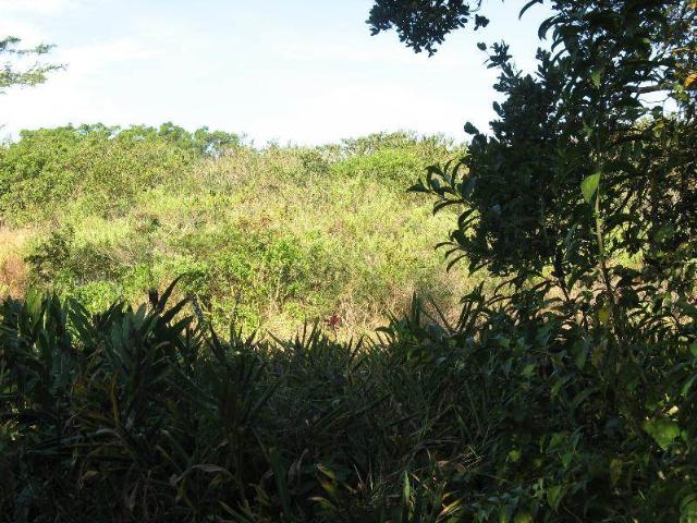 Property for sale in Ugu District Municipality, Kwazulu-natal