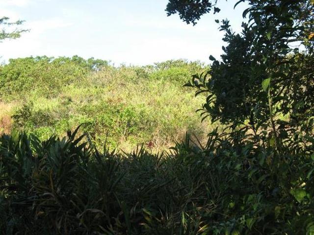 Property for sale in Ugu District Municipality, Kwazulu-natal