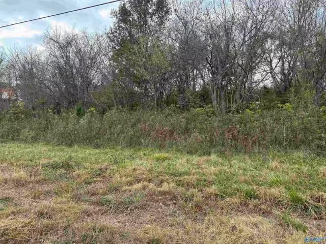 House for rent in Flat Rock, Alabama