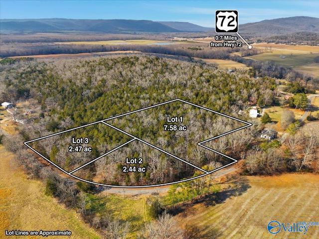 Land for sale in Woodville, Alabama