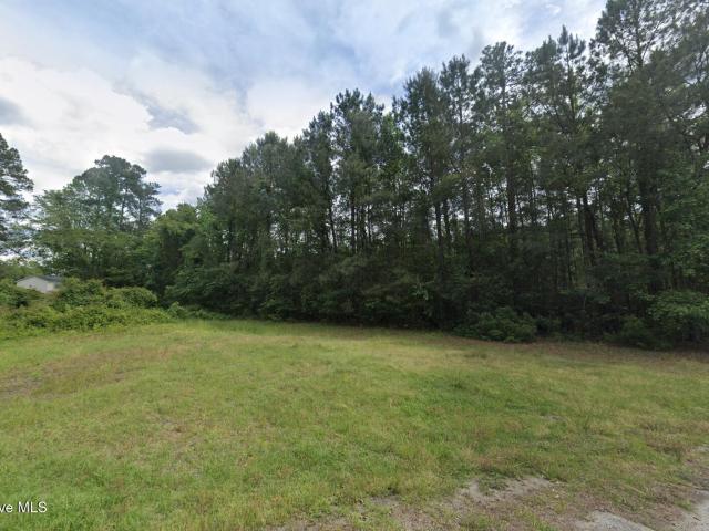Land for sale in Fair Bluff, Columbus County