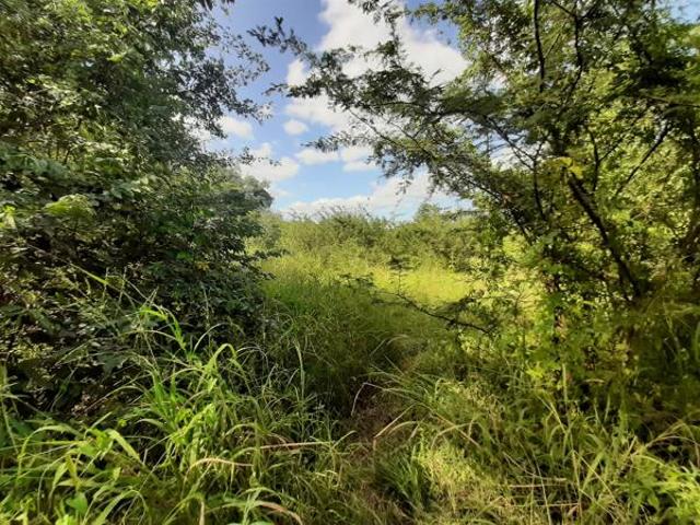 Property for sale in Mopani, Limpopo