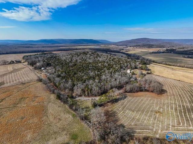 Land for sale in Woodville, Alabama