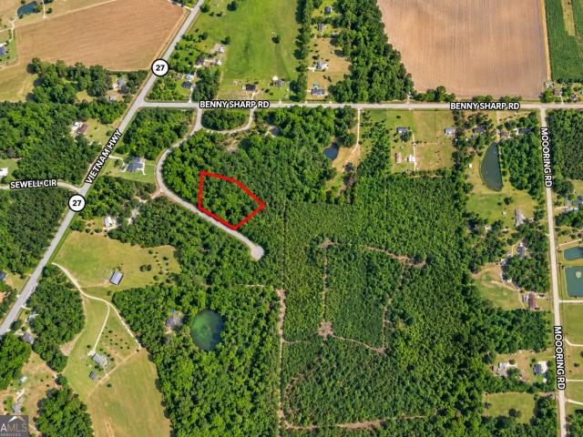 Land for sale in Hawkinsville, Georgia