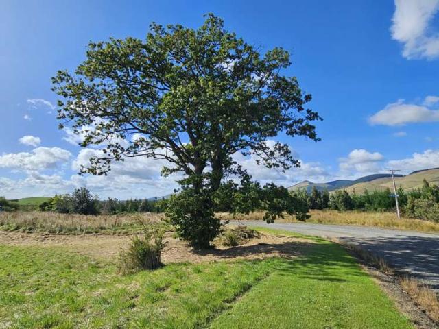 Land for sale in Otakou
