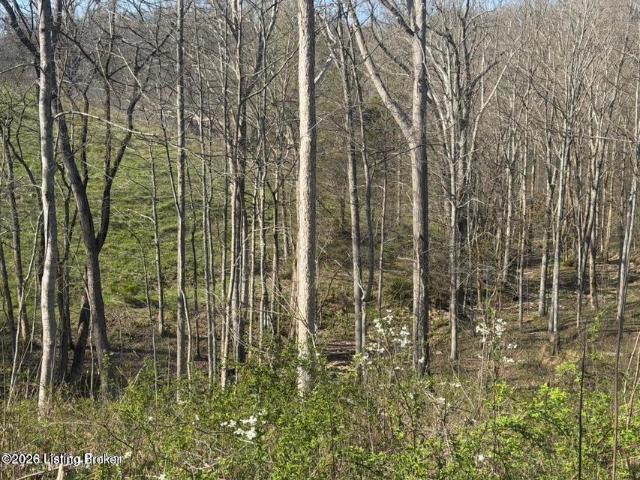 Land for sale in Kentucky