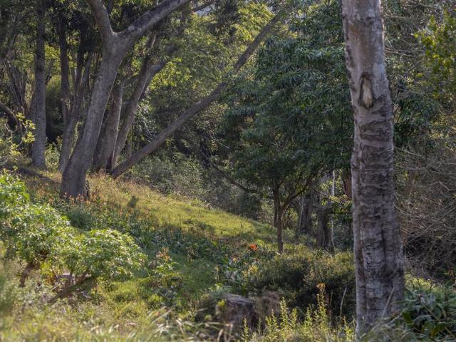 Land for sale in Durban