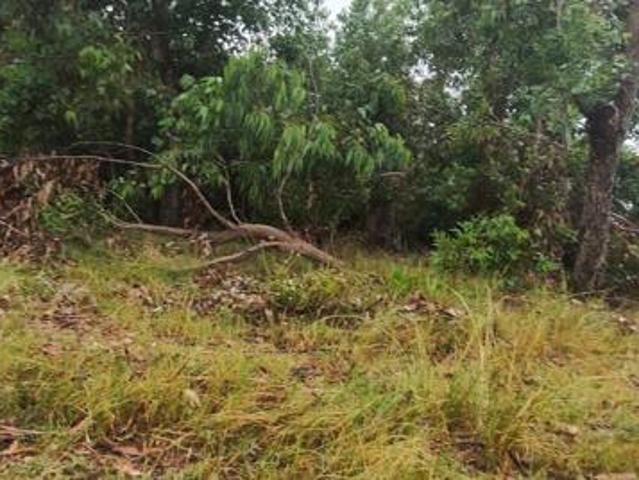 Land for sale in Eastern Cape