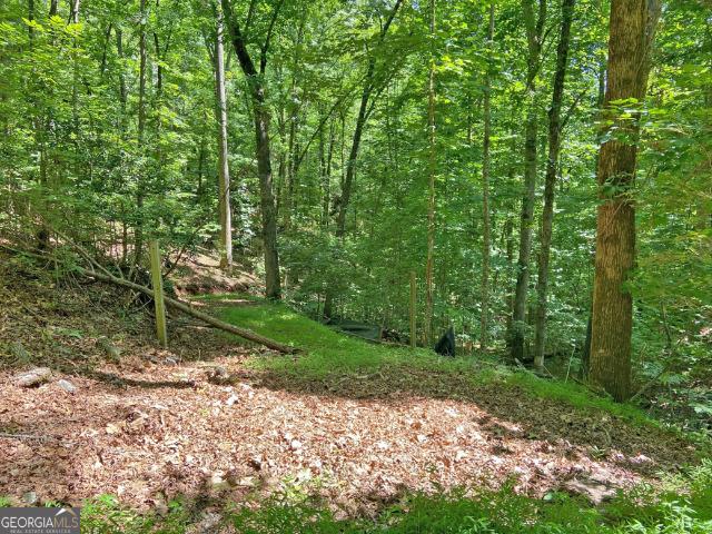 Land for sale in Dahlonega, Georgia