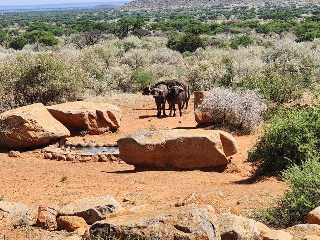 Property for sale in Lejweleputswa, Free State