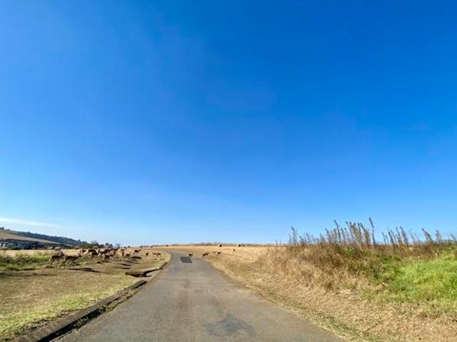 Property for sale in Umgungundlovu, Kwazulu-natal