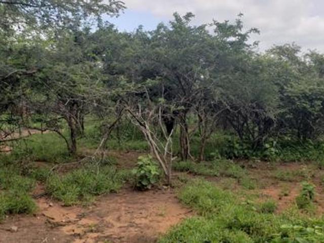 Property for sale in Ehlanzeni, Mpumalanga