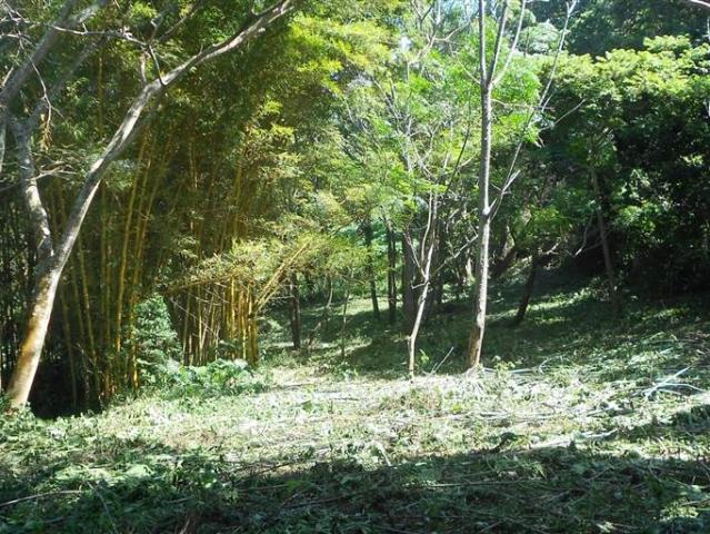 Property for sale in Ugu District Municipality, Kwazulu-natal