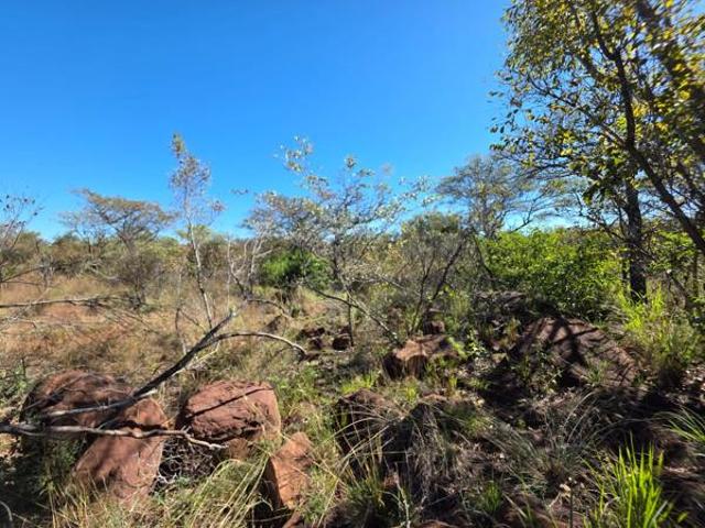 Property for sale in Limpopo